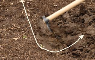 Grub hoe as rototiller alternative